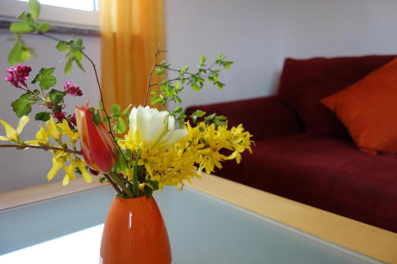 Schlier Ferienwohnung Katzheim מראה חיצוני תמונה